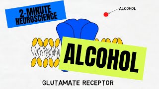 2Minute Neuroscience Alcohol [upl. by Witha205]