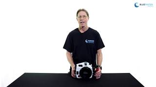 Ikelite D850 Housing Review [upl. by Kati]