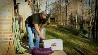 How To Cook Crawfish  Louisiana Crawfish Company [upl. by Letnahs]