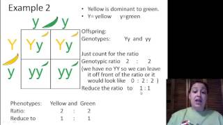 Sensitivity Specificity Positive and Negative Predictive Values  MarinStatsLectures [upl. by Ardnuasac]