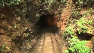 Great Smoky Mountains Railroad [upl. by Lussi]