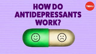 How do antidepressants work  Neil R Jeyasingam [upl. by Ramses]