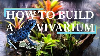 THE ULTIMATE VIVARIUM BUILD  Drylok Background [upl. by Anivahs]