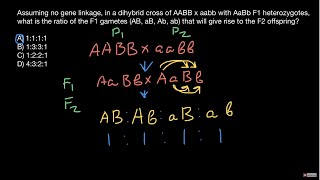 Genotypes and phenotypes ratios explained [upl. by Keelby197]