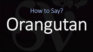 How to Pronounce Orangutan CORRECTLY [upl. by Assek]