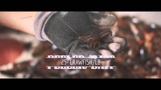 Louisiana Crawfish Co Our Process [upl. by Petite]