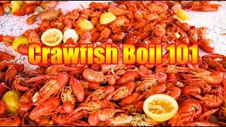 ANNUAL 2019 CRAWFISH BOIL  Basic Crawfish Boil 101 [upl. by Cohleen129]