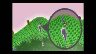 Understanding Targeted Therapies for Cancer [upl. by Uv]