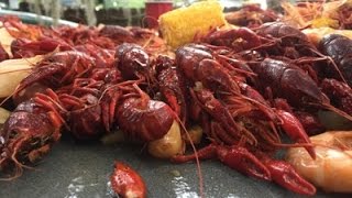 How to quotBOIL CRAWFISHquot Louisiana Style [upl. by Dorren]