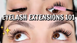 EYELASH EXTENSIONS 101  Everything You NEED To Know About Eyelash Extensions [upl. by Bran206]