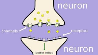 How does fluoxetine Prozac work [upl. by Ahsinod]