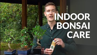 Indoor Bonsai care [upl. by Charlean]