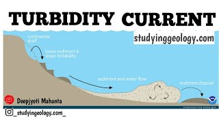 What is a turbidity current  Turbidity current  studyinggeologycom [upl. by Nhguav]