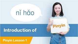 Introduction to Pinyin All about Chinese Pinyin  Chinese Pinyin Lesson 1 [upl. by Younglove]