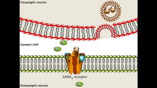 Pentobarbital  Mechanism of Action [upl. by Raman666]