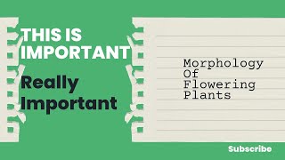 MORPHOLOGY OF FLOWERING PLANTS [upl. by Jenkins]