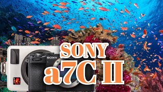 Sony a7C II Underwater in Fiji  Ikelite 200DLMA Underwater Housing [upl. by Vallonia450]