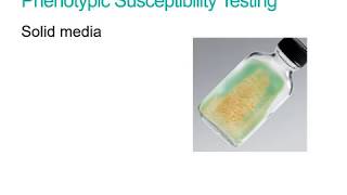 Finding F2 GenotypicPhenotypic Ratios of DihybridTrihybrid Crosses [upl. by Odlawso860]