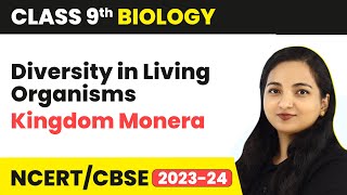 Kingdom Monera  Diversity in Living Organisms  Class 9 Biology  202324 [upl. by Darcia]