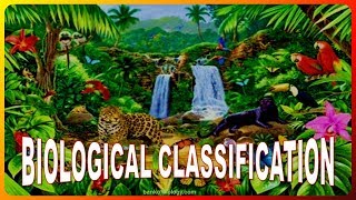 Biological classification  Part 1 Systems of classification Kingdom Monera [upl. by Auqinat]