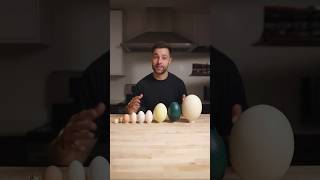 I Cooked the World’s CRAZIEST Eggs [upl. by Deacon]