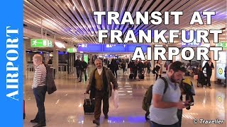 TRANSIT WALK AT FRANKFURT Airport FRA Terminal 1  Connection Flight Transfer Arriving amp Departing [upl. by Tu725]